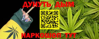крисы Абакан