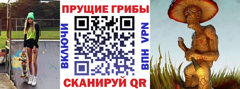 Псилоцибиновые грибы мухоморы  цена наркотик  Вологда 