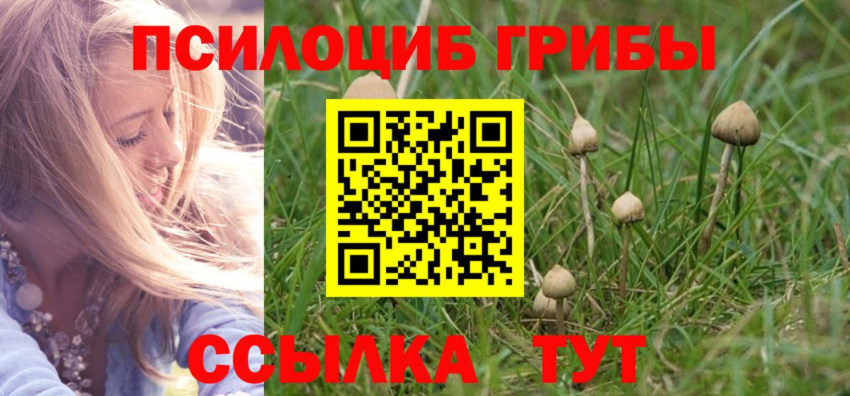 Псилоцибиновые грибы MAGIC MUSHROOMS  Вологда 