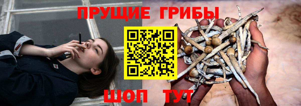 Галлюциногенные грибы MAGIC MUSHROOMS Вологда