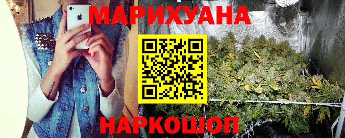 Канабис сатива Вологда